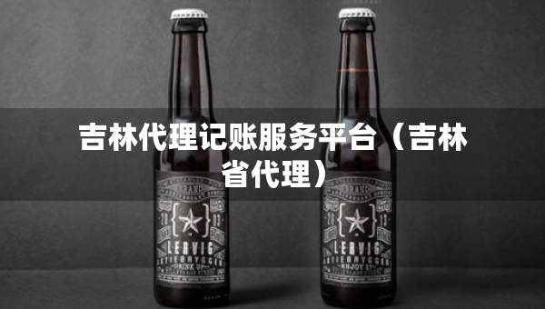 吉林代理记账服务平台（吉林省代理）