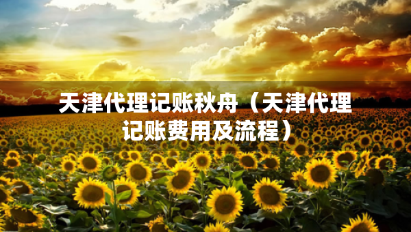 天津代理记账秋舟（天津代理记账费用及流程）