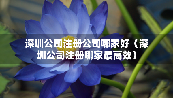 深圳公司注册公司哪家好（深圳公司注册哪家最高效）