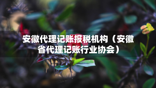 安徽代理记账报税机构（安徽省代理记账行业协会）
