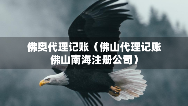 佛奥代理记账（佛山代理记账佛山南海注册公司）