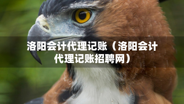 洛阳会计代理记账（洛阳会计代理记账招聘网）