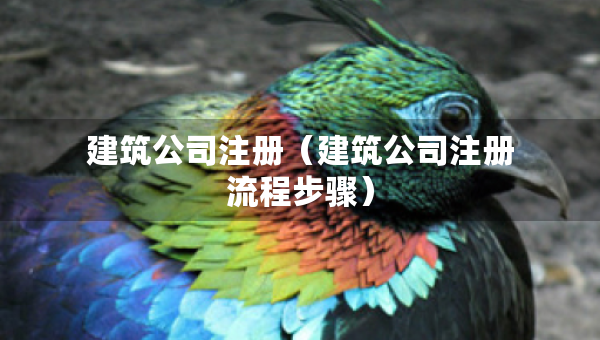 建筑公司注册（建筑公司注册流程步骤）