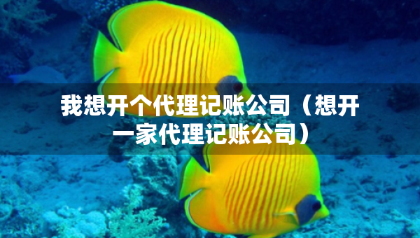 我想开个代理记账公司（想开一家代理记账公司）