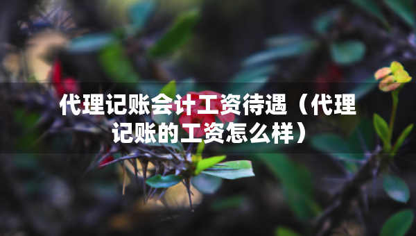代理记账会计工资待遇(代理记账的工资怎么样) 代理记账会计工资待遇(代理记账的工资怎么样)