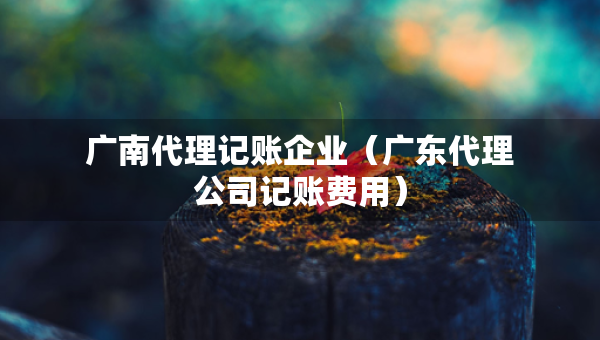 广南代理记账企业（广东代理公司记账费用）