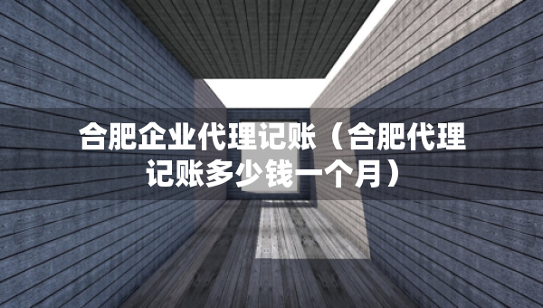 合肥企业代理记账（合肥代理记账多少钱一个月）