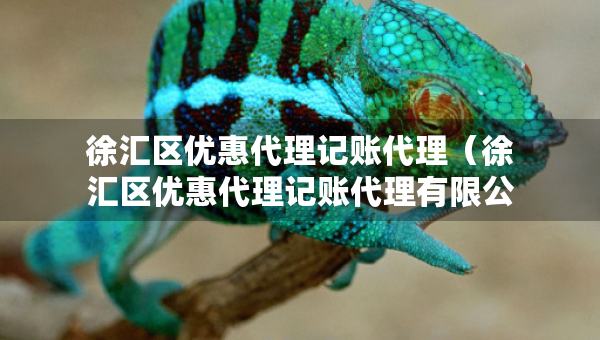 徐汇区优惠代理记账代理（徐汇区优惠代理记账代理有限公司）