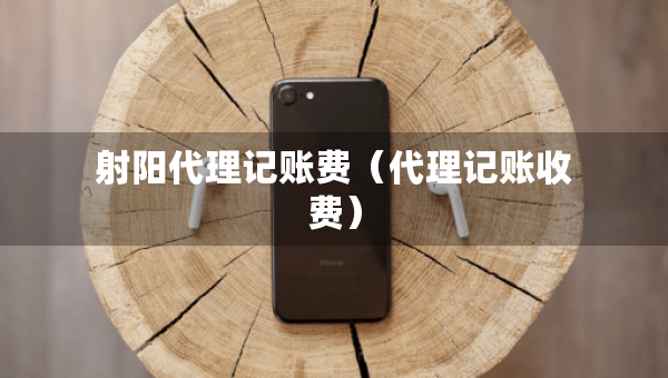 射阳代理记账费（代理记账收费）