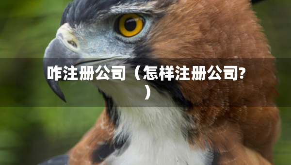 咋注册公司（怎样注册公司?）