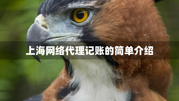 上海网络代理记账的简单介绍