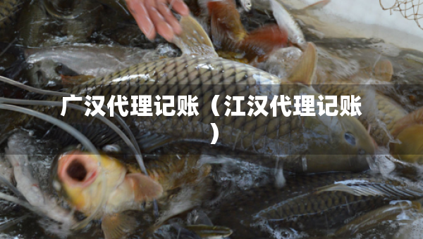 广汉代理记账（江汉代理记账）