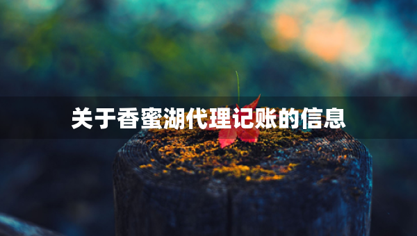 关于香蜜湖代理记账的信息