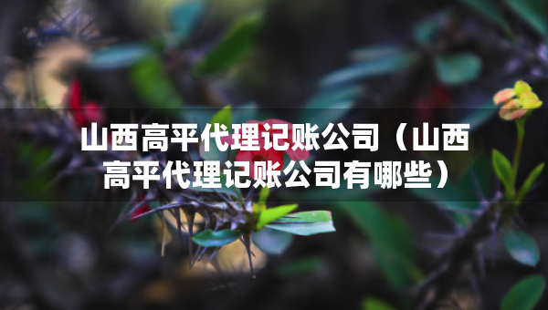 山西高平代理记账公司（山西高平代理记账公司有哪些）