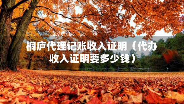 桐庐代理记账收入证明（代办收入证明要多少钱）