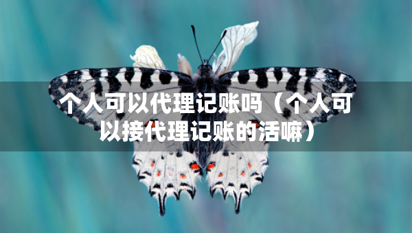 个人可以代理记账吗（个人可以接代理记账的活嘛）