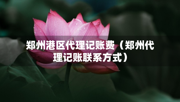 郑州港区代理记账费（郑州代理记账联系方式）