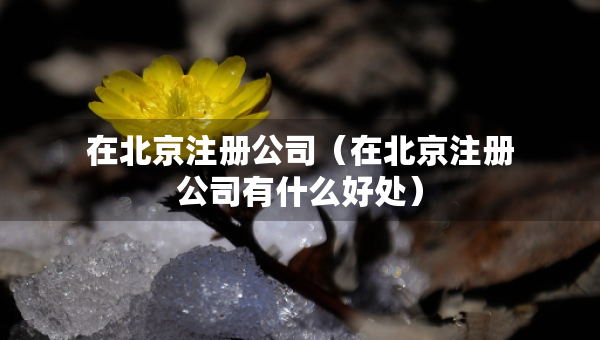 在北京注册公司（在北京注册公司有什么好处）