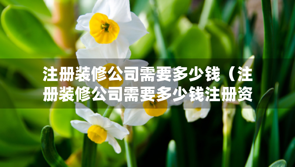 注册装修公司需要多少钱（注册装修公司需要多少钱注册资金）
