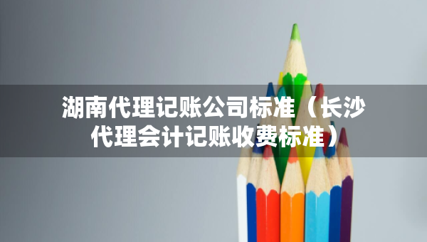 湖南代理记账公司标准（长沙代理会计记账收费标准）