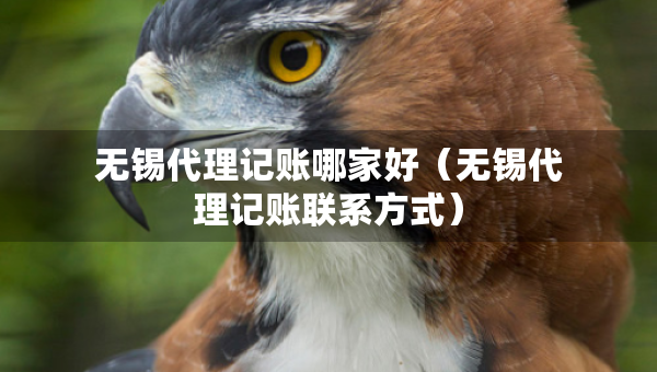 无锡代理记账哪家好（无锡代理记账联系方式）