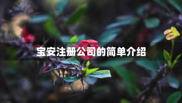 宝安注册公司的简单介绍