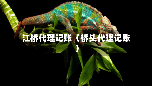 江桥代理记账（桥头代理记账）