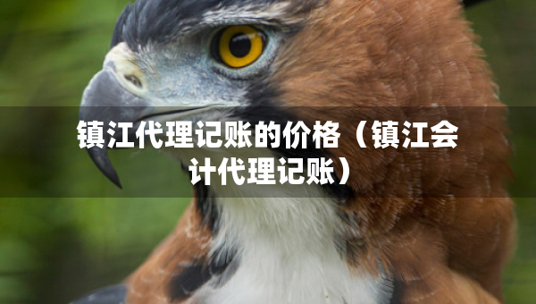 镇江代理记账的价格（镇江会计代理记账）