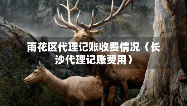 雨花区代理记账收费情况(长沙代理记账费用) 雨花区代理记账收费情况(长沙代理记账费用)