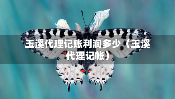 玉溪代理记账利润多少（玉溪代理记帐）