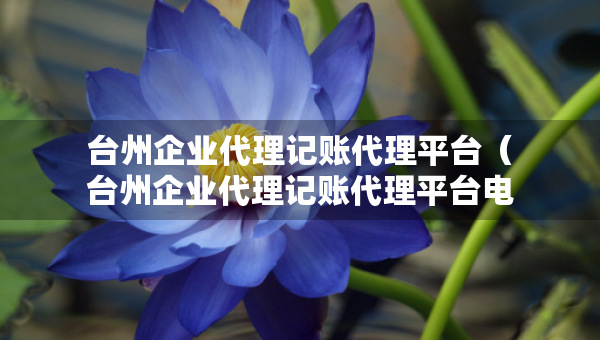 台州企业代理记账代理平台（台州企业代理记账代理平台电话）