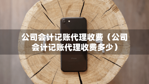 公司会计记账代理收费（公司会计记账代理收费多少）