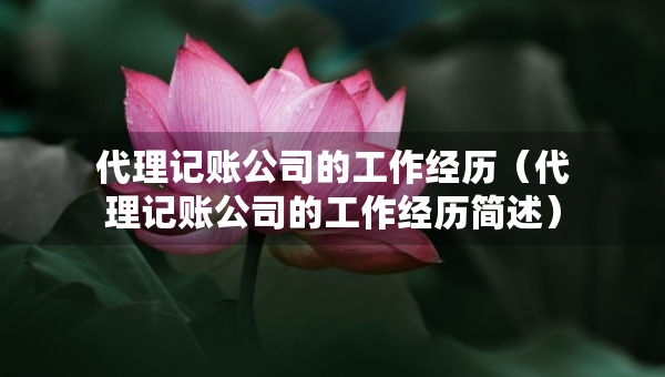 代理记账公司的工作经历（代理记账公司的工作经历简述）