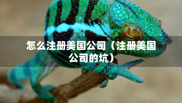 怎么注册美国公司（注册美国公司的坑）