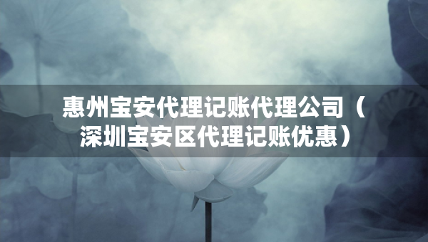 惠州宝安代理记账代理公司（深圳宝安区代理记账优惠）