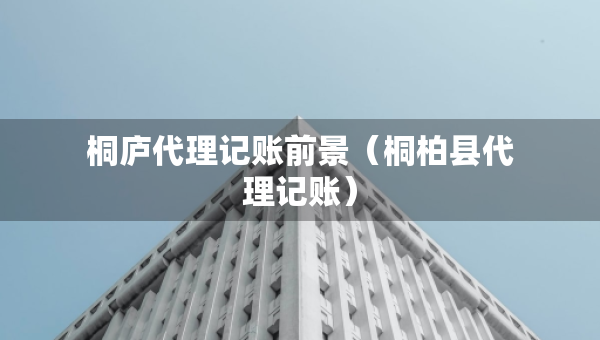 桐庐代理记账前景（桐柏县代理记账）