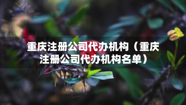 重庆注册公司代办机构（重庆注册公司代办机构名单）