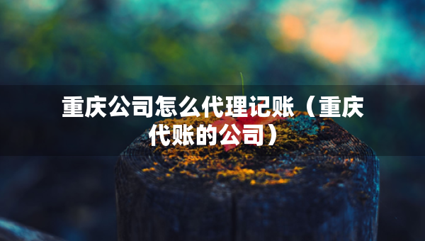 重庆公司怎么代理记账（重庆代账的公司）