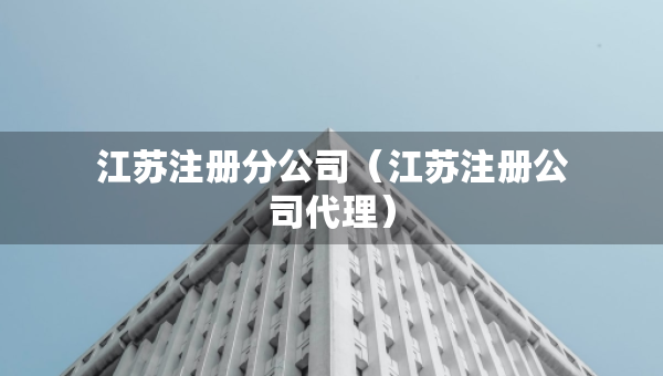 江苏注册分公司（江苏注册公司代理）