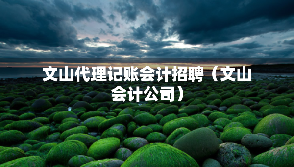 文山代理记账会计招聘（文山会计公司）