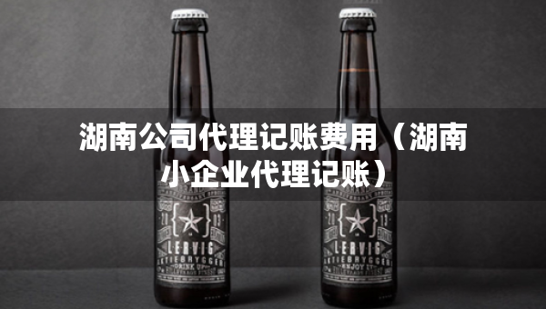 湖南公司代理记账费用（湖南小企业代理记账）