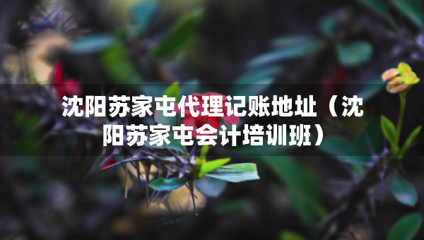 沈阳苏家屯代理记账地址（沈阳苏家屯会计培训班）