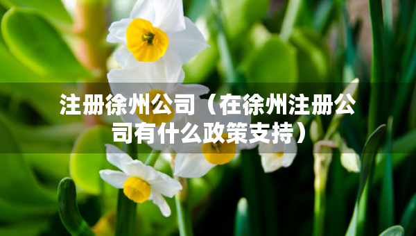 注册徐州公司（在徐州注册公司有什么政策支持）