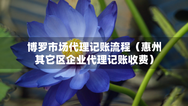 博罗市场代理记账流程（惠州其它区企业代理记账收费）