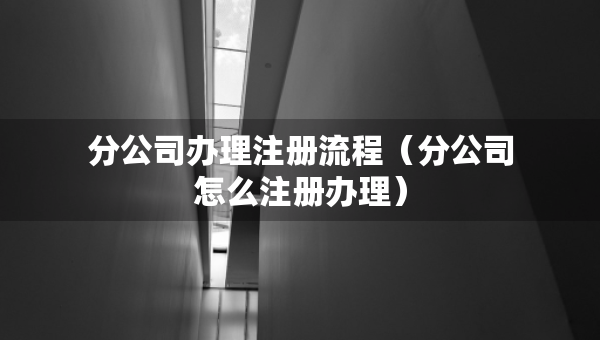分公司办理注册流程（分公司怎么注册办理）