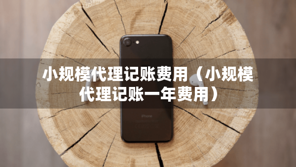 小规模代理记账费用（小规模代理记账一年费用）