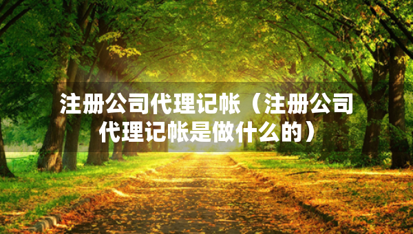 注册公司代理记帐（注册公司代理记帐是做什么的）