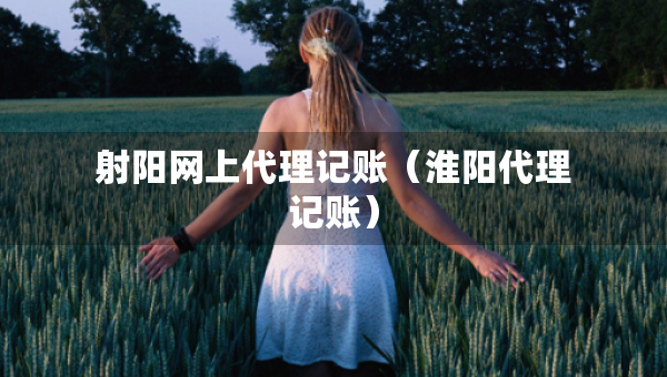 射阳网上代理记账（淮阳代理记账）