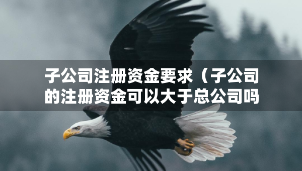子公司注册资金要求（子公司的注册资金可以大于总公司吗?）