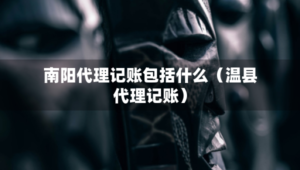 南阳代理记账包括什么（温县代理记账）